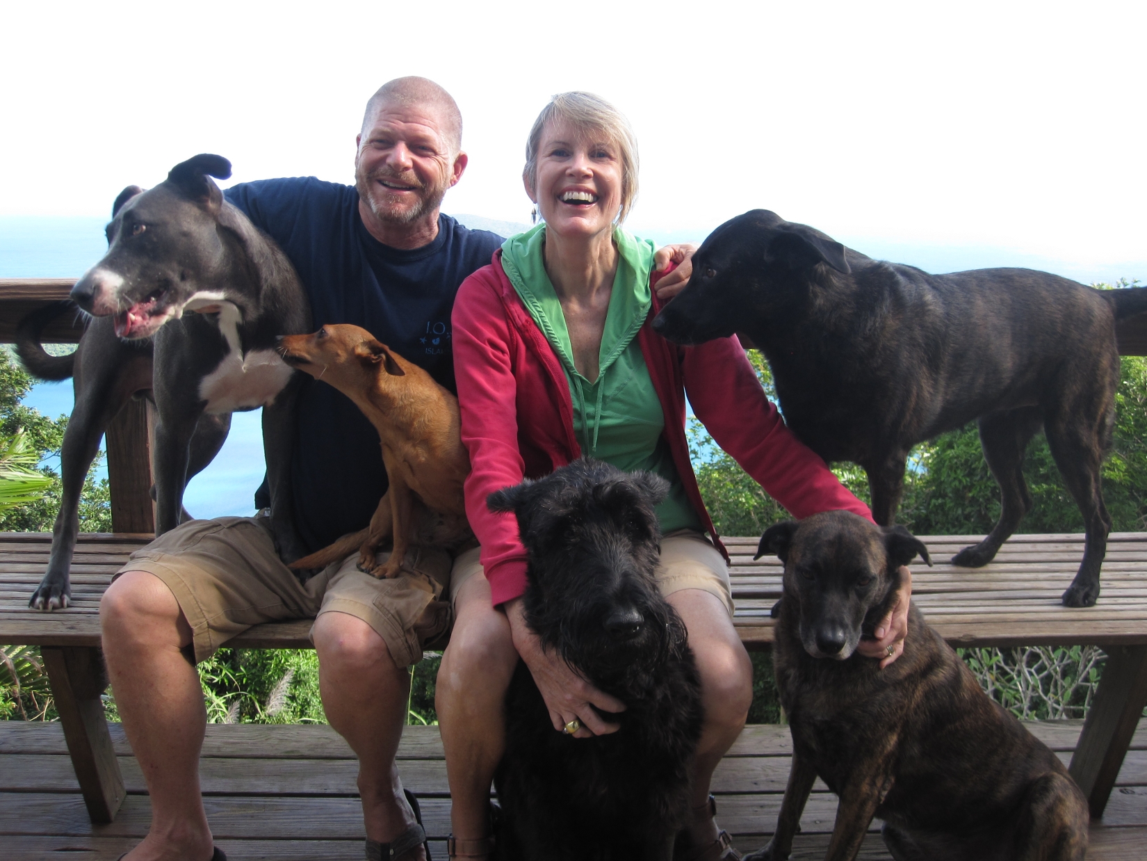 New Humane Society of St. Thomas President Andrea Martin and her husband, Steve, share their home with lucky rescue pups.