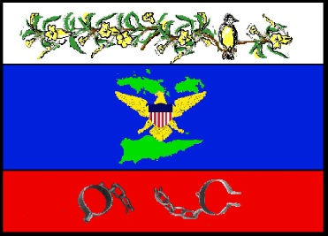 Horizontal Virgin Islands flag logo will commemorate Centenniel