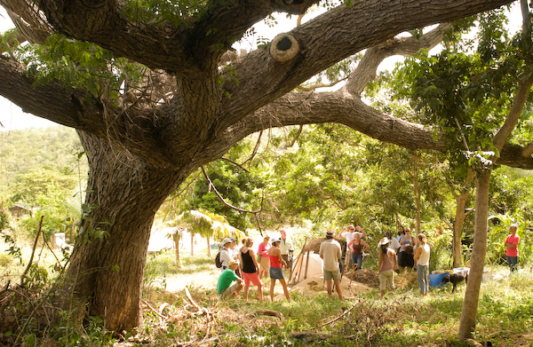 V.I. Sustainable Farm Institute 