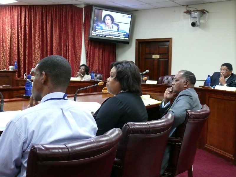 Assistant Tourism Commissioner Brad Nugent, Tourism Commissioner Beverly Nicholson-Doty, former Sen. David Jones and Economic Development Authority Director Percival Clouden at Monday's Senate committee hearing.
