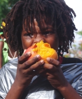 Abbiye Tafari digs in during the mango-eating contest Sunday at Mango Melee.