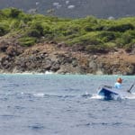 A fisherman participates in the 29th Annual Bastille Day Fishing Tournament on the north side of St. Thomas_photo by Kelsey Nowakowski