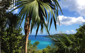 Before the storms: Magens Bay, seen in this spring photo from the trail, has been named one of the 10- most beautiful beachs in the world. Now it's been scoured by two hurricanes, but those who love it say it will return to its glory.