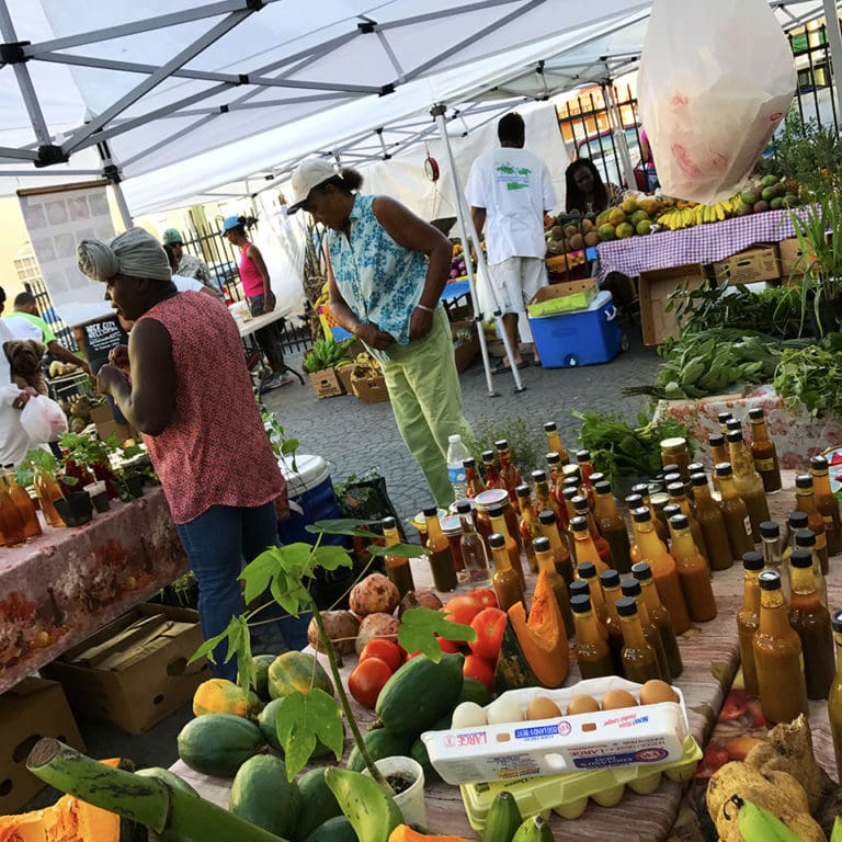 Good Food Coalition Collects Data on Territory’s Farmers