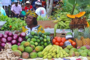 Vendors were selling a wide variety of locally grown produce.