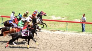 Horses race at St. Croix's Randall 'Doc' James Racetrack. (File photo)
