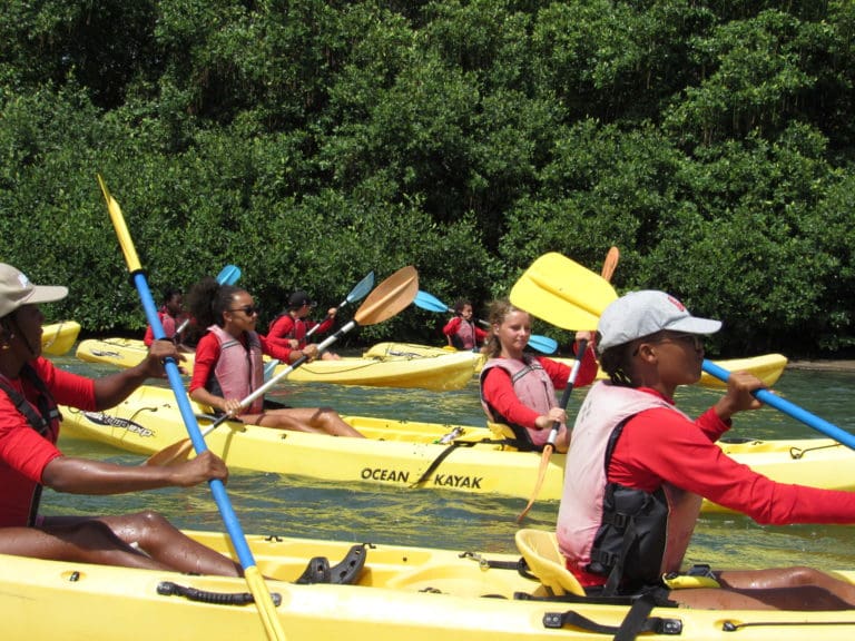 DPNR Offers Free Kayak Tours Beginning January 1