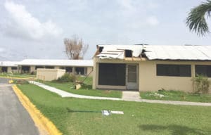 Flamboyant Gardens shows damage from Hurricane Maria.