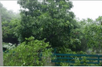 IrmaVideoCapture