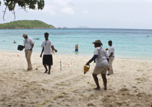 Volunteers study a turtle nesting site. (Photo by Adren Anderson)