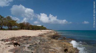 Beach Advisory for May 28 — June 1