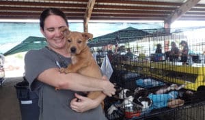 Professional responder Lindsey Cooke from North Carolina comforts a puppy at the ASPCA shelter on St. Croix. (Susan Ellis photo)