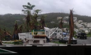 Bordeaux Farmer’s Market after Hurricane Irma (We Grow Food Inc. Facebook page)