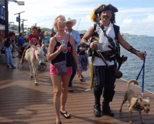 Michael Belcheff – St. Croix's Mike the Pirate – and Val Stiles lead the 2018 Dog Parade.