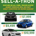 DriveGreenVI_AD_460x680