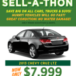 DriveGreenVI_Animated_AD_460x680