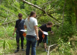 Manu Afshar, Antonio Farchette, Owen Clower begin the work ahead of them. (sap photo)