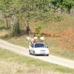 In the countryside, the past and the future share the road.