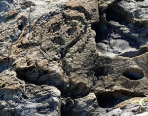 Another petroglyph shows the work of a long-gone artist. (Bill Kossler photo)