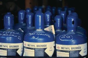 Methyl Bromide