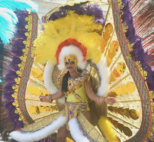 Interfernos Carnival Troupe brought more than 100 to thrill the crowd with extravagant costumes. (Gerard Sperry photo)