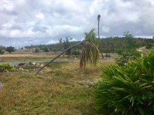 A bent palm tree shows the direction of the wind from Hurricane Irma when the storm struck the resort.
