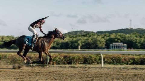 A recent court ruling may have a serious impact on plans for sports tourism based on horse racing in the U.S. Virgin Islands. (Source file photo)