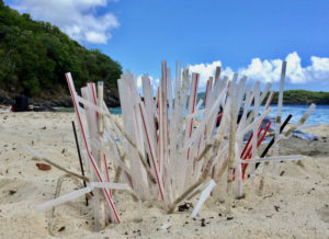 V.I. Clean Coasts is focusing on eliminating single-use plastics, including these plastic straws that ended up on Coki Beach. (Photo by Kitty Edwards)