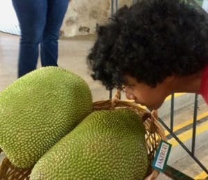 A young attendee takes a whiff of a jakfruit at the 2017 Mango Melee. (Anne Salafia photo)