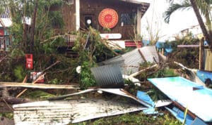 Hurricane Irma left a lot of damage behind in Tillett Gardens.The flora and walkways were buried in debris. (Tillett photo)