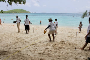 Volunteers study a turtle nesting site. (Photo provided by Adren Anderson)