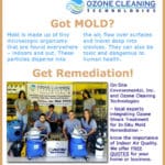 Mold-InArticle_460x680
