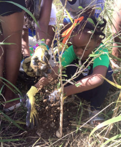 Young volunteer Danielle Remie plants her tree.