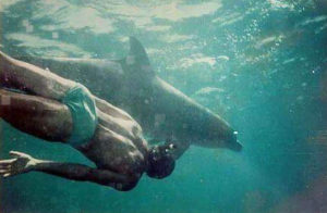 Prosterman swims with a dolphin in 1994. (Submitted photo)