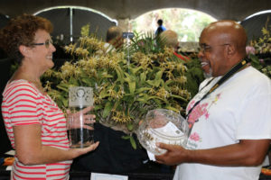 Grand Champion of the Show, awarded for the most outstanding orchid in the show, won by exhibitor Luther Edwards and grown by Jan McBean, is the  Epidendrum ciliare. This plant is often called the St. Croix Christmas orchid. According to Edwards, until Hurricane Hugo, it could be found growing wild in the rainforest but now is cultivated by growers. This specimen was blown 25 to 30 yards away during Maria, but has recovered to become the champ. (Linda Morland photo)