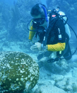 An member from Scorpion Reef National Park sees firsthand the effect of stony coral tissue loss disease on the Florida reef. The highly destructive disease is now threatening coral in the territory. (Photo by Emma Doyle/Gulf and Caribbean Fisheries Institute)