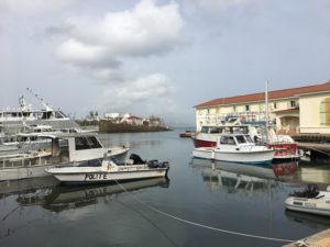 Cruz Bay Creek. (File photo by Amy Hope Roberts)