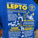 Tee shirt spreads the message about leptospirosis(1)