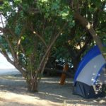 Camping at Great Pond 040210