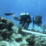 Divers install a new structure called BUCA that will provide a platform on which to grow elkhorn coral in Cane Bay, photo provided by Dr. Ashlee Lillis