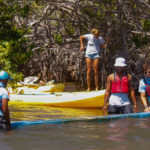 mangrove clean big block o plastic