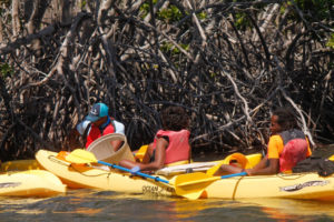 Cleanup volunteers try to get deep into the mangroves to get trash out of the complex root systems. (April Knight photo)