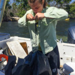 plastic trash from mangroce