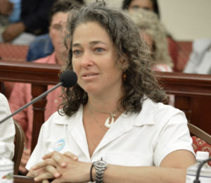 Cosmetic chemist Autumn Blum testifies Monday before the Senate Committee on Government Operations, Consumers and Affairs, describing the toxic chemicals found in most sunscreens. (Photo by Barry Leerdam, USVI Legislature)