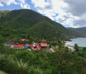 View of Carambola Resort with Hamms Bluff in the background. (Susan Ellis photo)