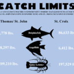 Fishing Infographic feature crop
