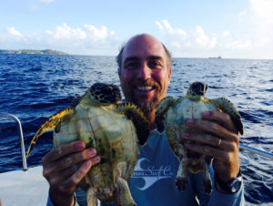 UVI professor Paul Jobsis holds up a pair of young Hawksbills, too small for tracking tags. (Photo by Scott Eanes)