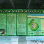 Alphonso sign