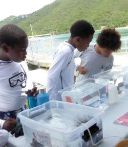Students peer into pre-loaded aquariums. (Source photo by sap)