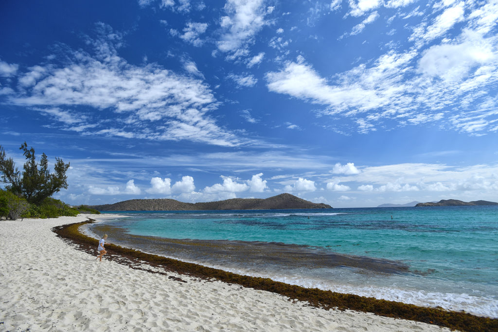 Spread of Sargassum Seaweed May be ‘New Normal’ St. Thomas Source